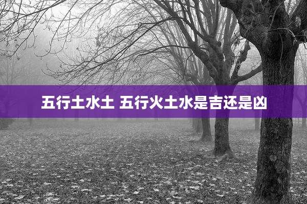 五行土水土 五行火土水是吉还是凶