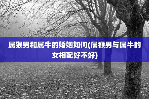 属猴男和属牛的婚姻如何(属猴男与属牛的女相配好不好)