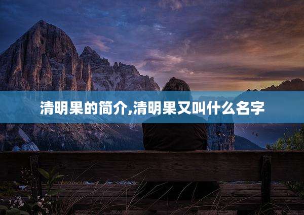 清明果的简介,清明果又叫什么名字