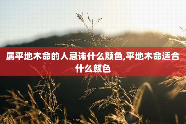 属平地木命的人忌讳什么颜色,平地木命适合什么颜色
