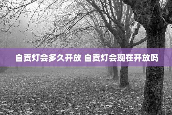 自贡灯会多久开放 自贡灯会现在开放吗