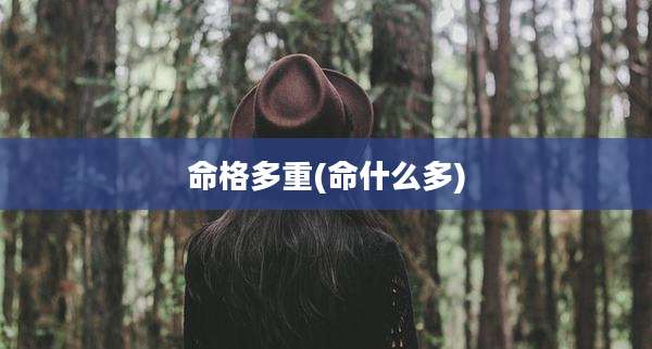 命格多重(命什么多)