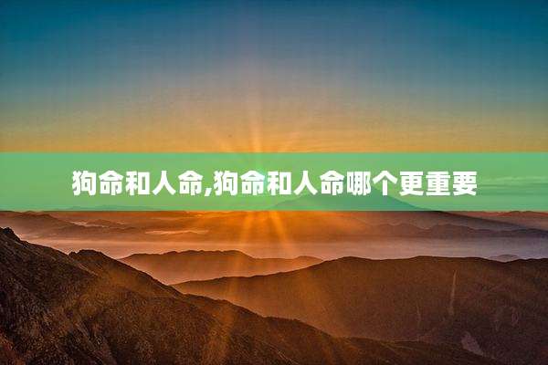 狗命和人命,狗命和人命哪个更重要
