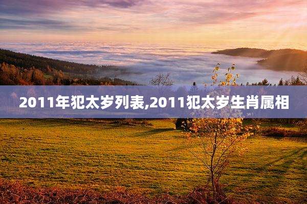 2011年犯太岁列表,2011犯太岁生肖属相