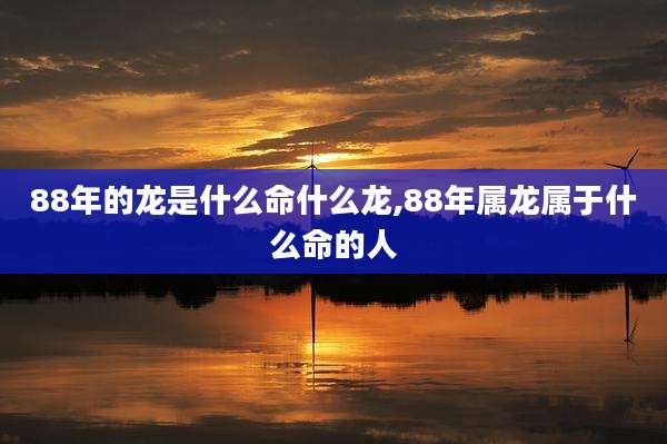88年的龙是什么命什么龙,88年属龙属于什么命的人