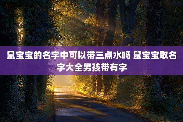 鼠宝宝的名字中可以带三点水吗 鼠宝宝取名字大全男孩带有字