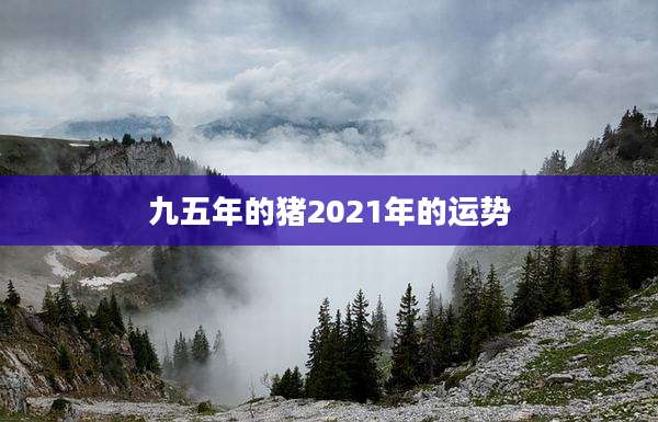 九五年的猪2021年的运势