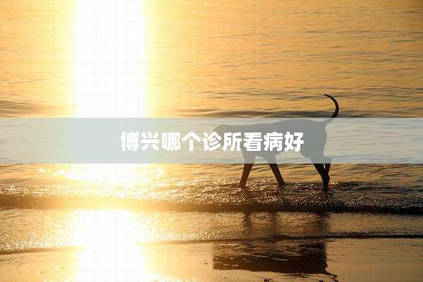 博兴哪个诊所看病好