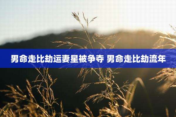 男命走比劫运妻星被争夺 男命走比劫流年