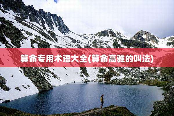算命专用术语大全(算命高雅的叫法)