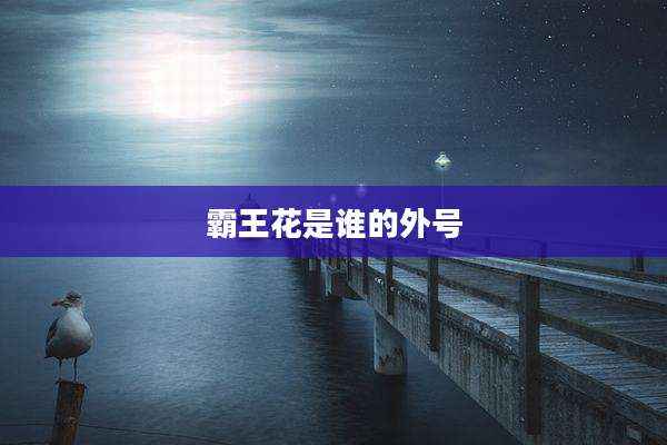 霸王花是谁的外号