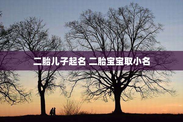 二胎儿子起名 二胎宝宝取小名