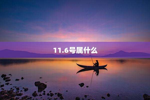 11.6号属什么