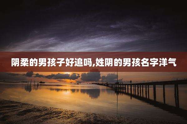 阴柔的男孩子好追吗,姓阴的男孩名字洋气