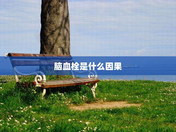 脑血栓是什么因果
