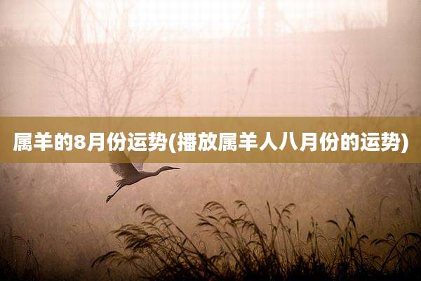 属羊的8月份运势(播放属羊人八月份的运势)