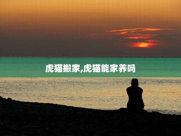 虎猫搬家,虎猫能家养吗