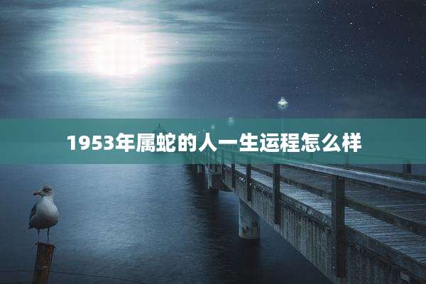 1953年属蛇的人一生运程怎么样