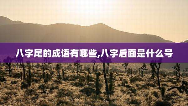 八字尾的成语有哪些,八字后面是什么号