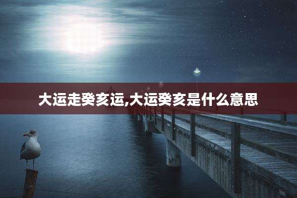 大运走癸亥运,大运癸亥是什么意思
