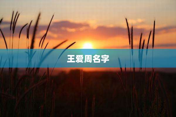 王爱周名字