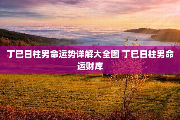 丁巳日柱男命运势详解大全图 丁巳日柱男命运财库