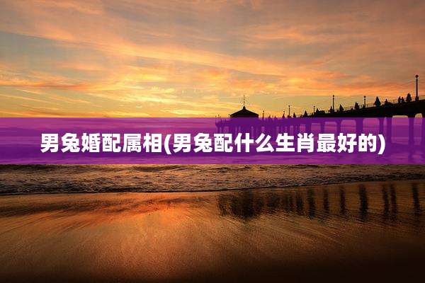 男兔婚配属相(男兔配什么生肖最好的)