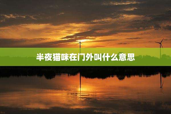 半夜猫咪在门外叫什么意思