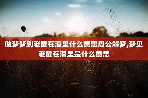 做梦梦到老鼠在洞里什么意思周公解梦,梦见老鼠在洞里是什么意思