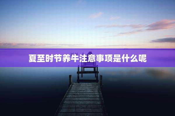 夏至时节养牛注意事项是什么呢