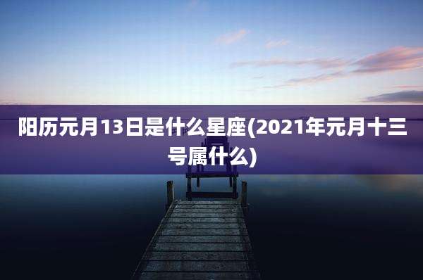 阳历元月13日是什么星座(2021年元月十三号属什么)