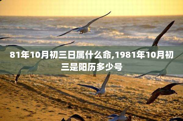 81年10月初三日属什么命,1981年10月初三是阳历多少号
