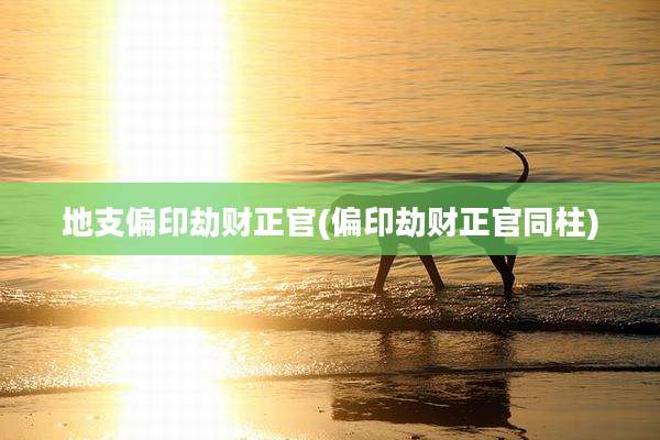 地支偏印劫财正官(偏印劫财正官同柱)