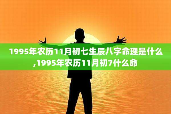 1995年农历11月初七生辰八字命理是什么,1995年农历11月初7什么命
