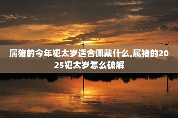 属猪的今年犯太岁适合佩戴什么,属猪的2025犯太岁怎么破解