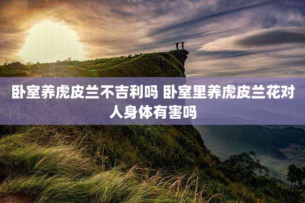卧室养虎皮兰不吉利吗 卧室里养虎皮兰花对人身体有害吗
