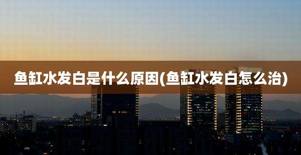 鱼缸水发白是什么原因(鱼缸水发白怎么治)