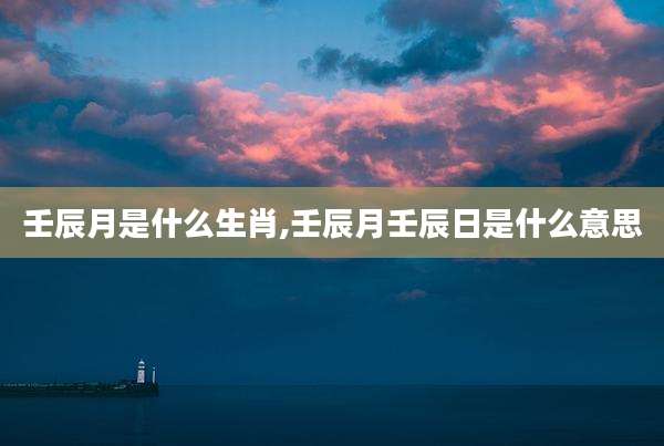 壬辰月是什么生肖,壬辰月壬辰日是什么意思