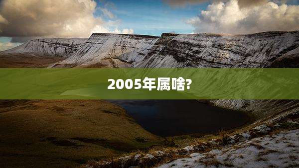 2005年属啥?
