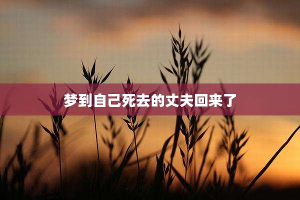 梦到自己死去的丈夫回来了