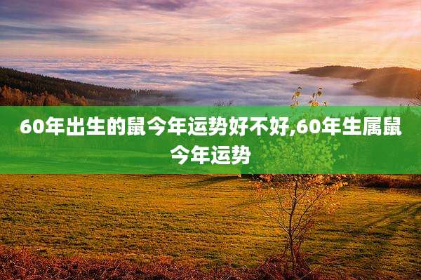 60年出生的鼠今年运势好不好,60年生属鼠今年运势
