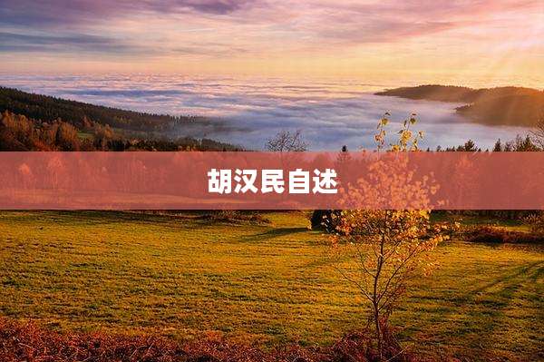 胡汉民自述