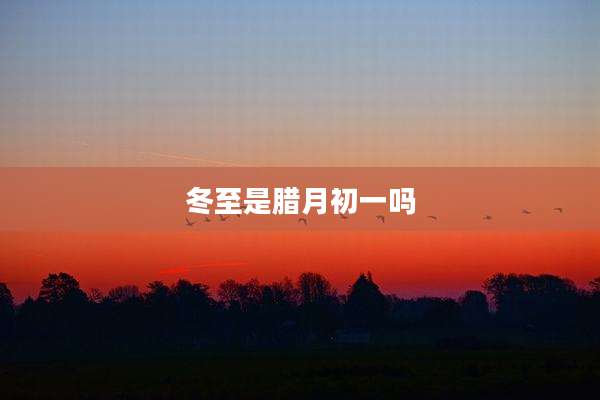 冬至是腊月初一吗