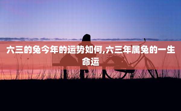 六三的兔今年的运势如何,六三年属兔的一生命运