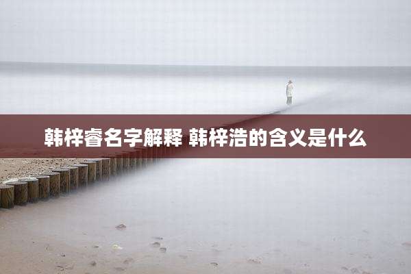 韩梓睿名字解释 韩梓浩的含义是什么