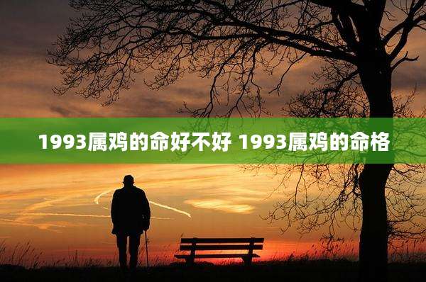 1993属鸡的命好不好 1993属鸡的命格