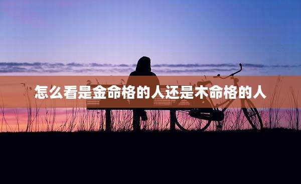 怎么看是金命格的人还是木命格的人