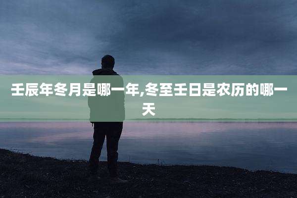 壬辰年冬月是哪一年,冬至壬日是农历的哪一天