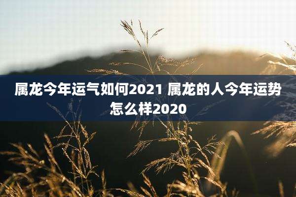 属龙今年运气如何2021 属龙的人今年运势怎么样2020