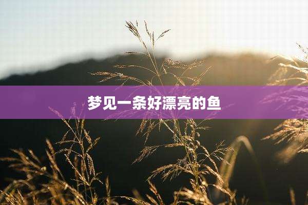 梦见一条好漂亮的鱼